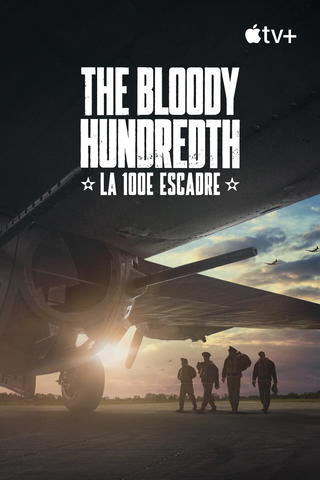 The Bloody Hundredth : la 100e escadre