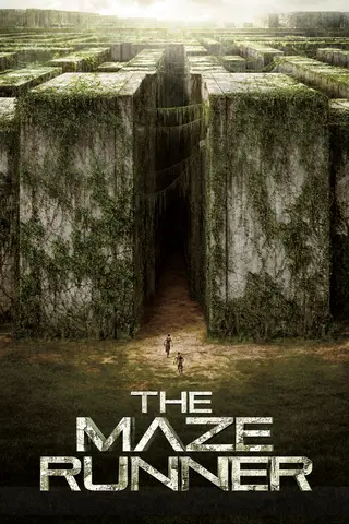 The Maze Runner