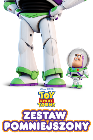 Zestaw pomniejszony
