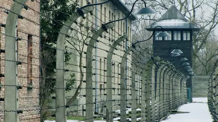 A Journey into the Holocaust