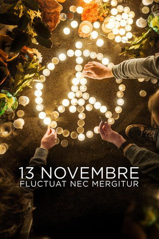 13 Novembre : Fluctuat Nec Mergitur
