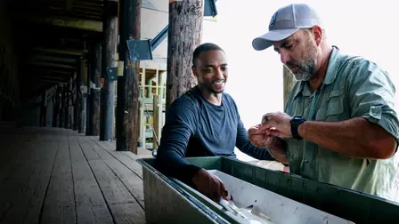 Shark Beach with Anthony Mackie: Gulf Coast