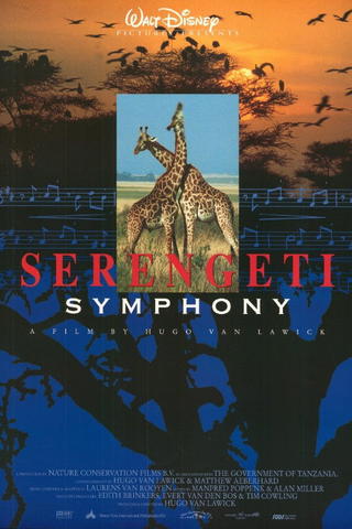 Serengeti Symphony
