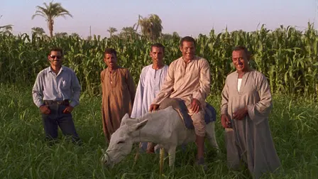 The Virgin, the Copts and Me