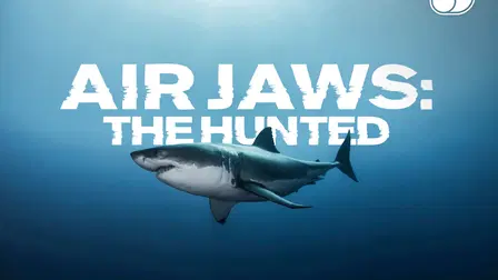 Air Jaws: The Hunted