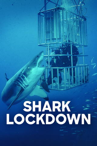 Shark Lockdown