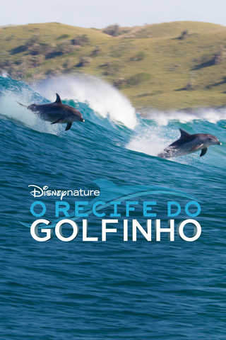 O Recife do Golfinho