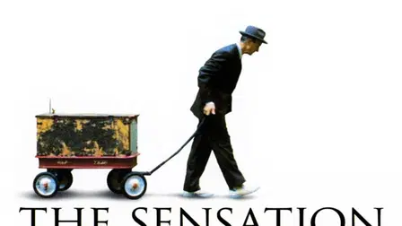 The Sensation of Sight