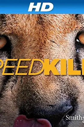 Speed Kills