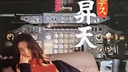 Married Stewardess: Uniform Ascension