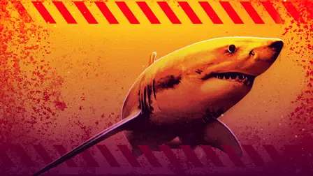 Tubarões da Flórida: Sangue nas Águas