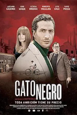 Gato negro