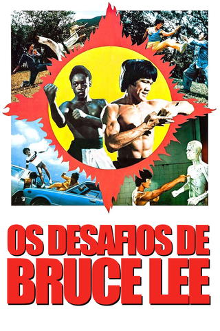 Os Desafios de Bruce Lee