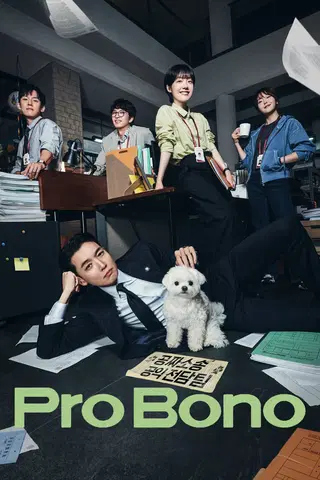 Pro Bono