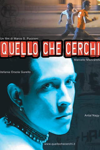 What Are You Looking For