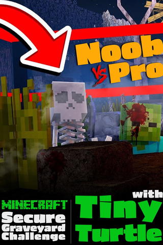 Secure Graveyard Challenge: Tiny Turtle