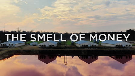 The Smell of Money