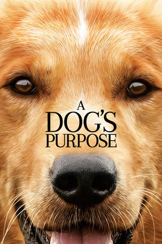 A Dog's Purpose