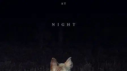 It Comes at Night