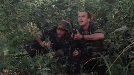 War Dogs