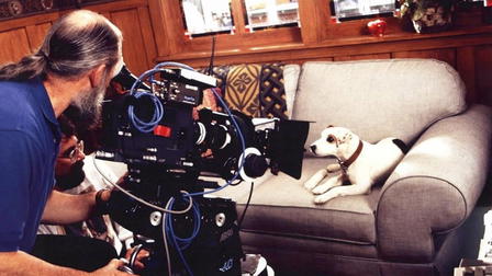 What's the Story, Wishbone?