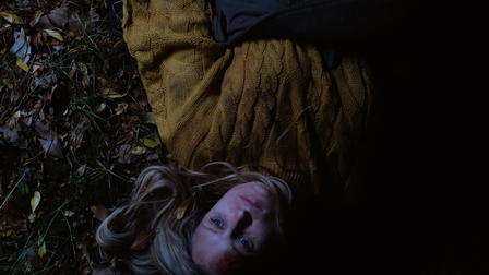 Through the Deepening Night