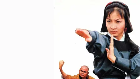 Stranger from Shaolin