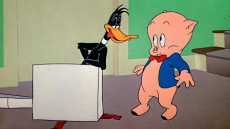 Un canard envahissant