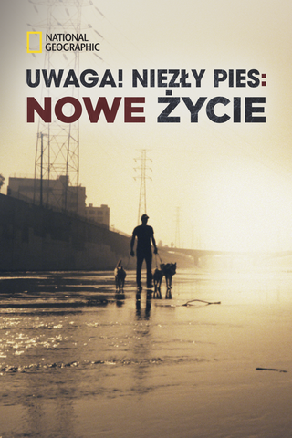 Uwaga! Niezły pies: nowe życie