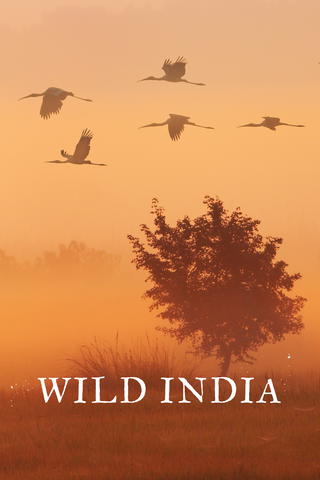Wild India