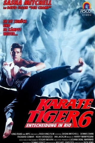 Karate Tiger 6 - Entscheidung in Rio