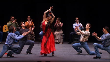 Teatro Real: Carmen Antonio Gades Company
