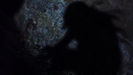 A Dark Path
