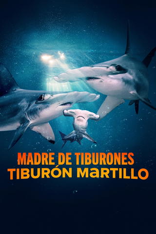 Tiburonas martillo