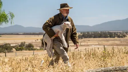 Ondt blod i Sauedalen
