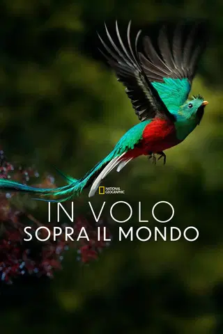 In volo sopra il mondo