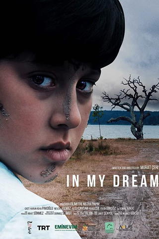 In My Dream