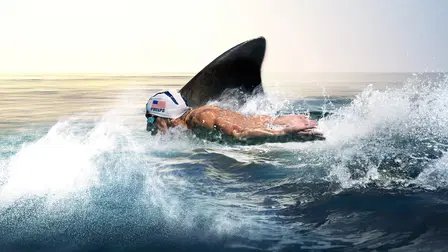 Phelps vs Shark