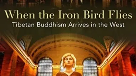 When the Iron Bird Flies