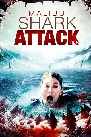 Malibu Shark Attack