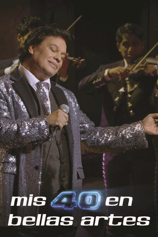 Mis 40 En Bellas Artes