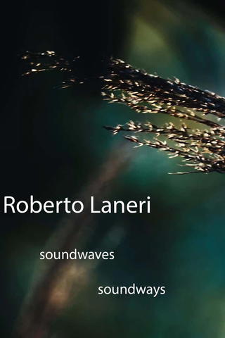 Roberto Laneri: Soundwaves Soundways