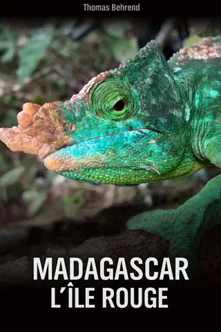 Unknown Madagascar