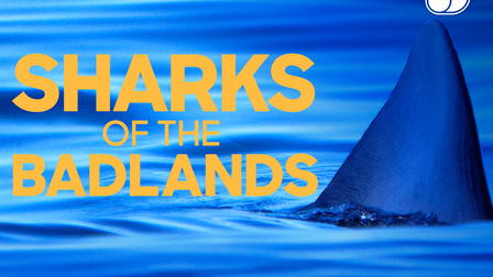 Sharks of the Badlands