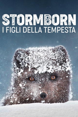 Stormborn - I figli della tempesta