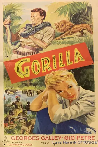 Gorilla Safari