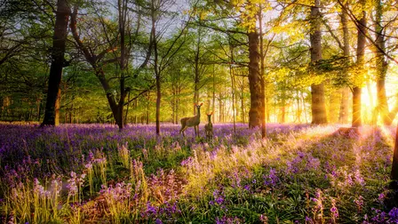 Love Nature
