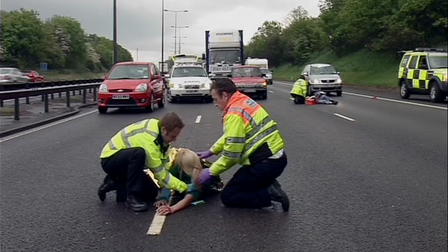 Madness in the Fast Lane