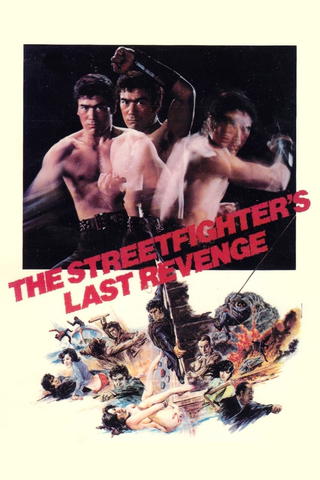The Streetfighter's Last Revenge