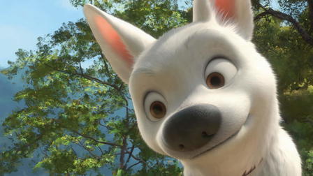 Bolt